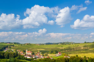the small village of Miklavz pri Ormozu in the wine growing region of Jeruzalem, Municipality of Ormoz, Slovenian Styria, Slovenia the small village of Miklavz pri Ormozu in the wine growing region of Jeruzalem, Municipality of Ormoz, Slovenian Styria, Slovenia
